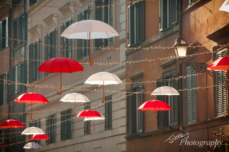 Umbrellas in Rome
